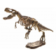 T-Rex pre malého paleontológa 3D