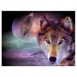 5D Diamantová mozaika - wolf
