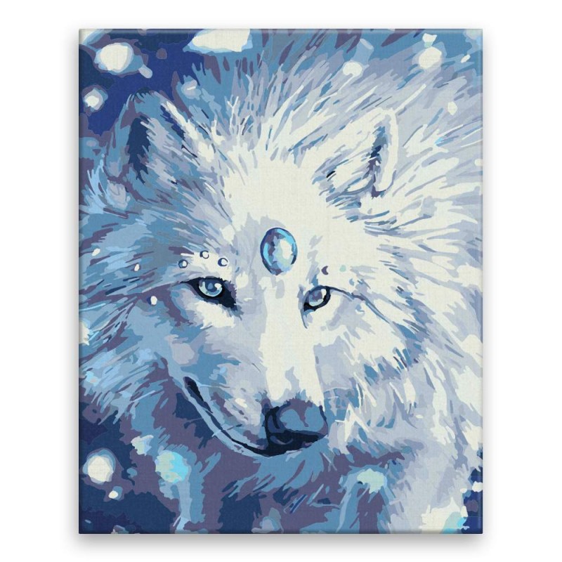 NO-1005686 NORIMPEX Maľovanie podľa čísel - obraz 40x50cm - Biely vlk