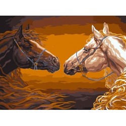 5D Diamantová mozaika - Maľované kone