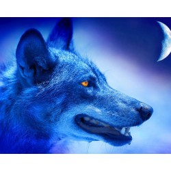 5D Diamantová mozaika - Midnight Wolf