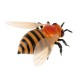 Včela na diaľkové ovládanie - Honeybee
