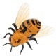Včela na diaľkové ovládanie - Honeybee