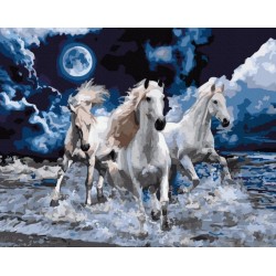5D Diamantová mozaika - Fantastic Horses