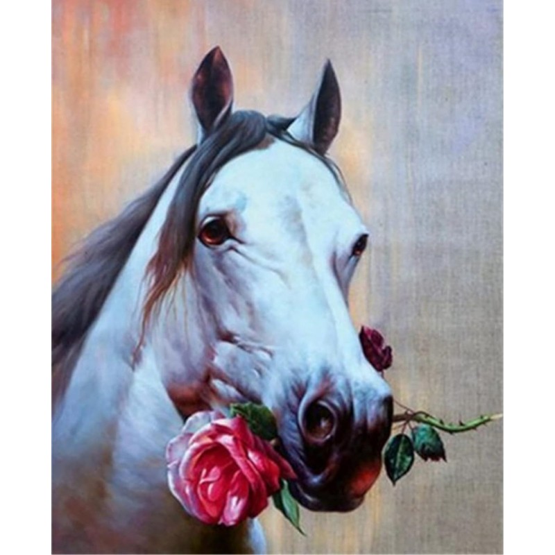 Levně 785428 NORIMPEX 5D Diamantová mozaika - Kůň s růží