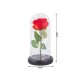 Večná ruža v skle RGB LED červená