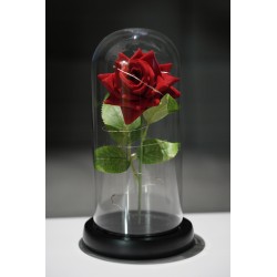 Večná ruža - RGB single - červená
