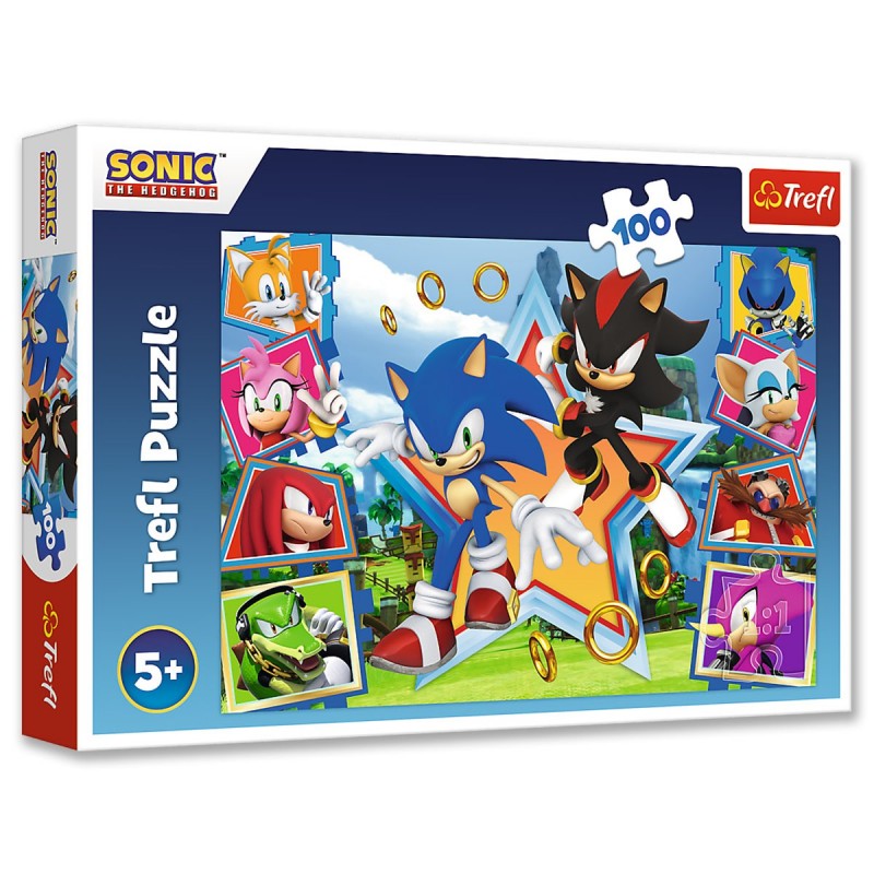 Levně 16465 Dětské puzzle - Ježek Sonic - 100ks