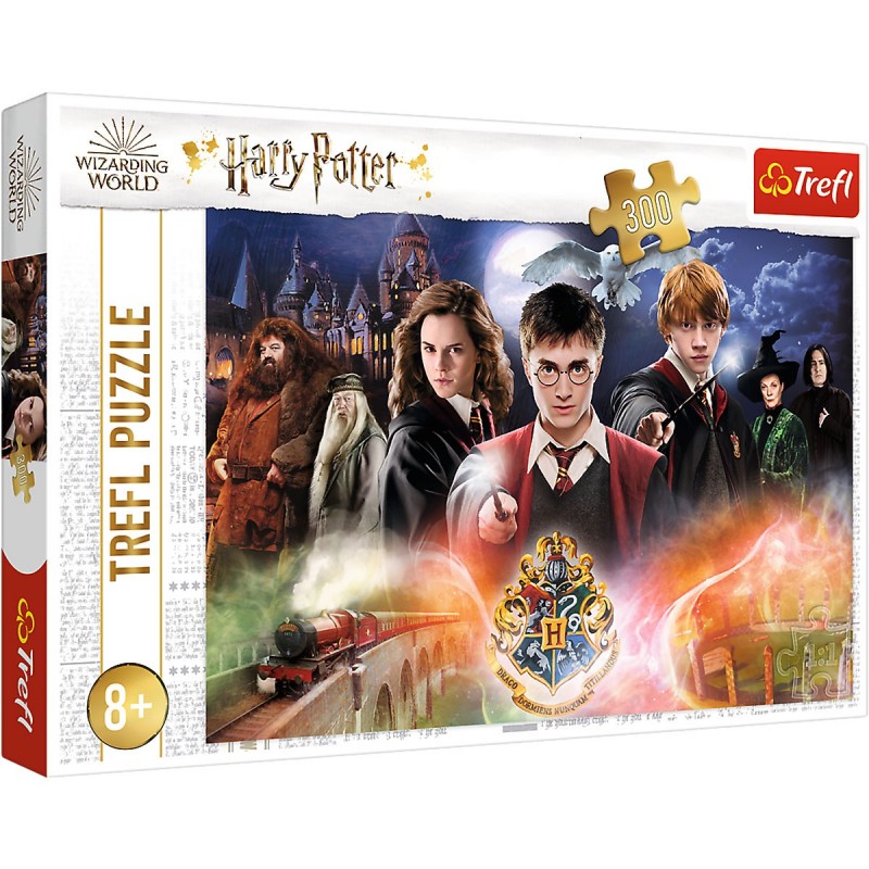 Levně 23001 Dětské puzzle - Harry Potter - 300ks