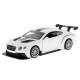 Kovový model auta - Bentley Continental GT3 Motorsport 1:38